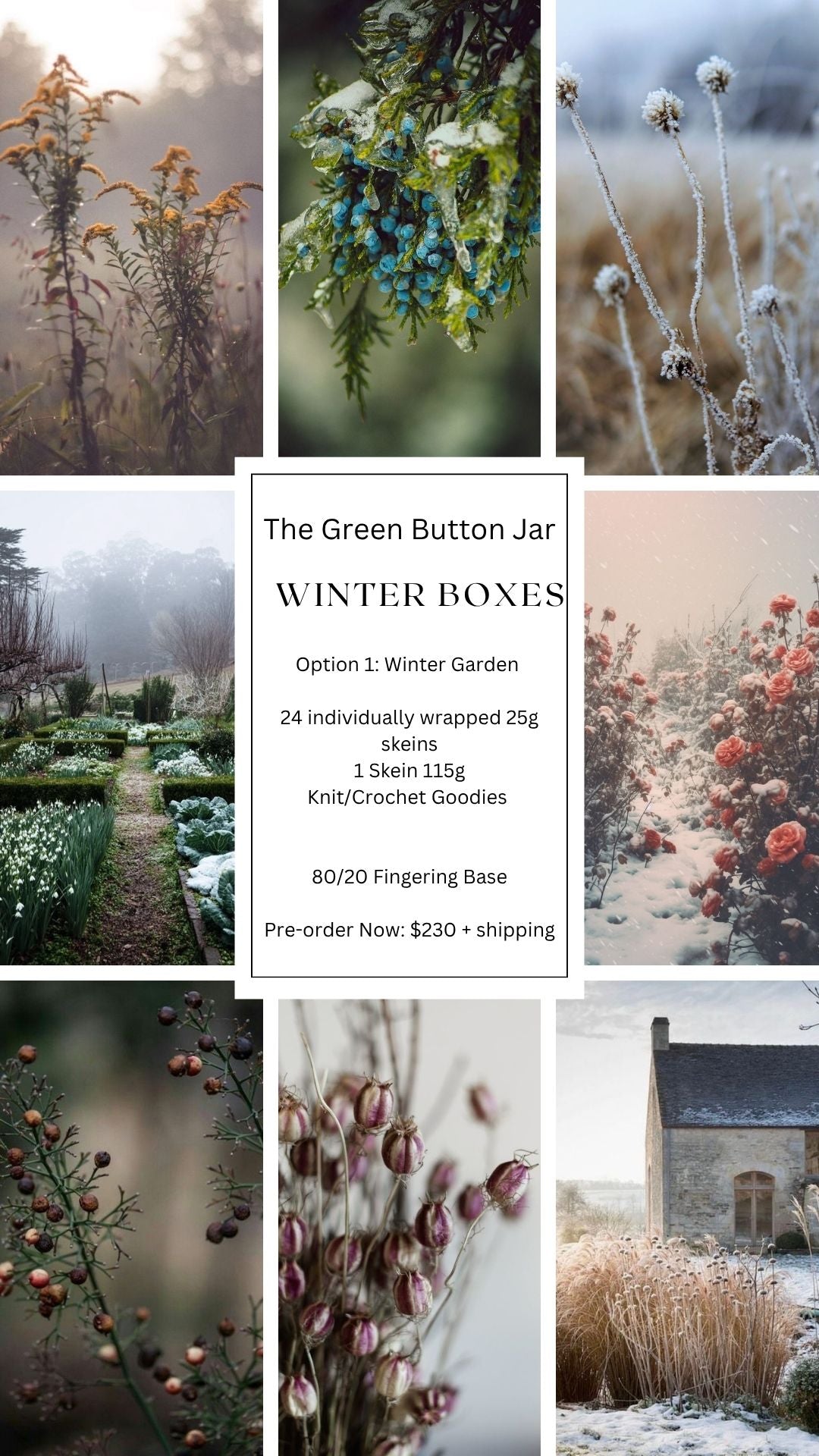 2026 Winter Box - Winter Garden