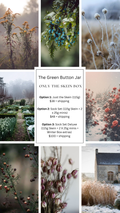 Just the Skein - Winter Box (Pre-Order)