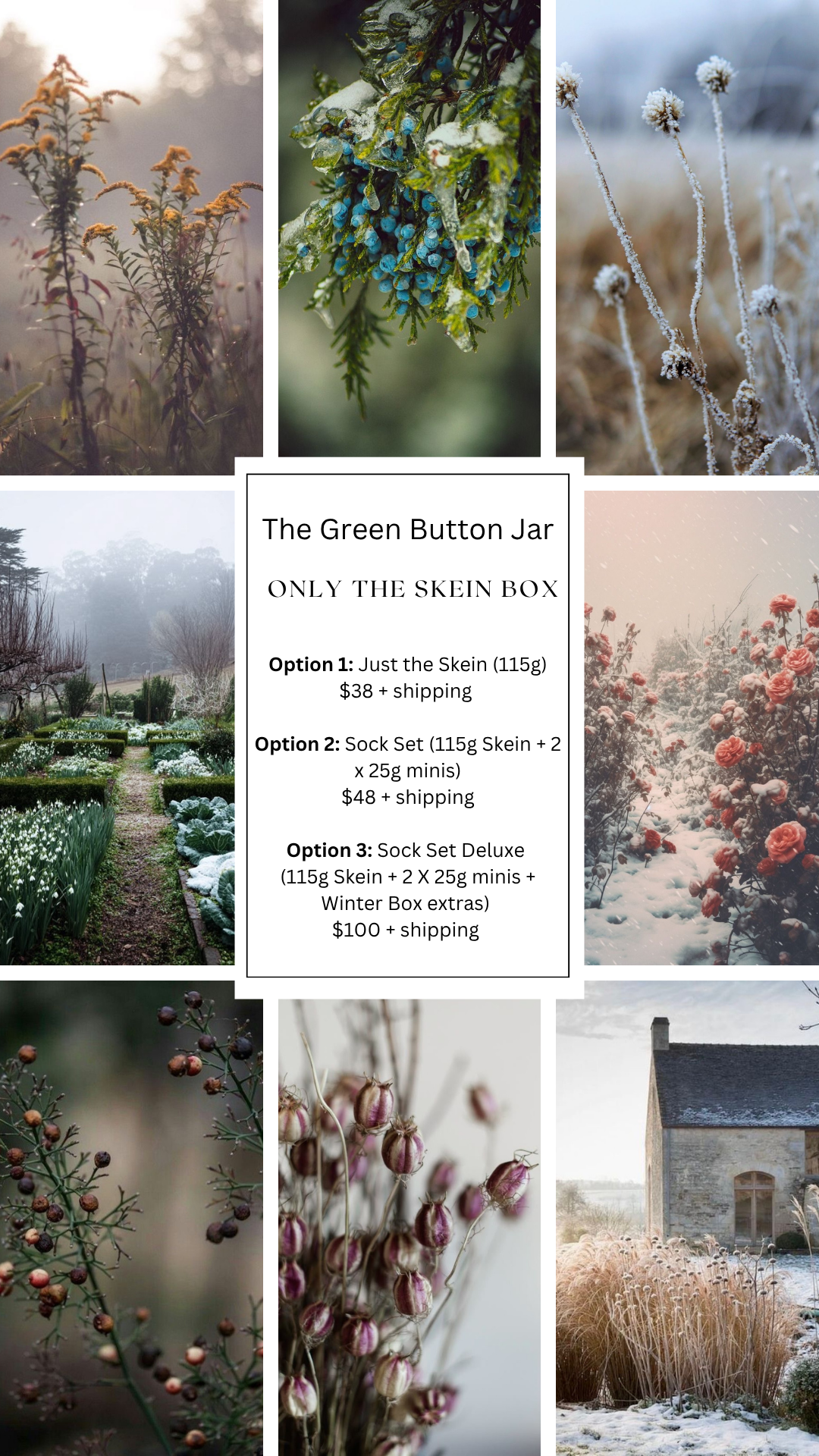 Just the Skein - Winter Box (Pre-Order)